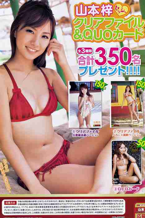 [日本写真杂志]ID0092 [Monthly Young Magazine] 2010 No.03 Azusa Yamamoto 山本梓 [16P]--性感提